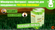 Экстремальное похудение с Wheatgrass